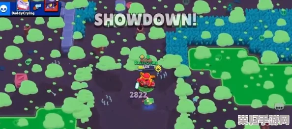 荒野乱斗:天选之战策略指南——顶尖英雄选择与实战技巧深度剖析 荒野乱斗:天选之战策略指南——顶尖英雄选择与实战技巧深度剖析