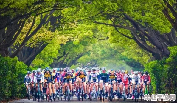 2024年骑行爱好者必玩榜单：精选高质感沉浸式骑行游戏，尽享速度与激情的全方位体验大全