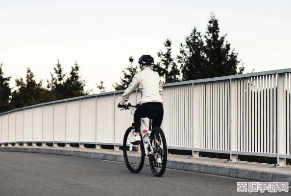 2024年骑行爱好者必玩榜单：精选高质感沉浸式骑行游戏，尽享速度与激情的全方位体验大全