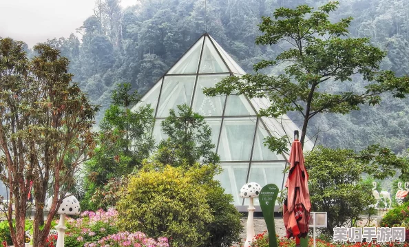 《烟雨江湖》游戏深度探索：全攻略揭秘稀有羽毛高效获取途径与技巧策略