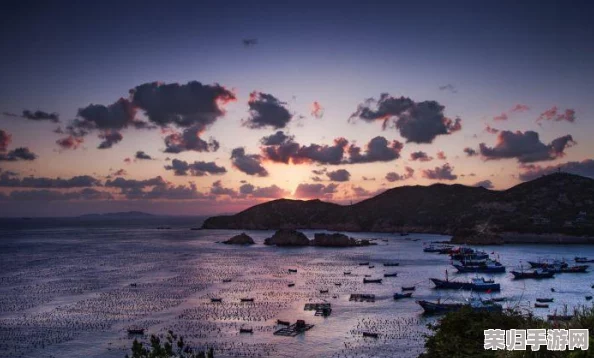 全面解锁小森生活海岛资源：刷新时间表与高效采集策略集成指南，助你畅游自然乐园无忧攻略！