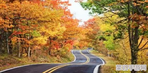 掌握我的世界：高效繁殖羊群技巧与策略，打造繁荣牧场新指南