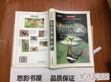 探索燕云十六声秘境：昆虫博物奇术全收集策略与鉴赏指南