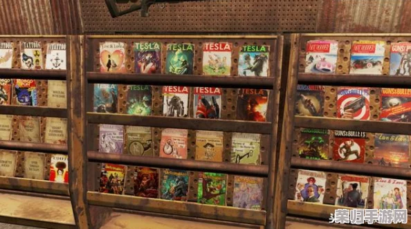 《辐射4》游戏内探索：揭秘隐藏商店，专售稀有垃圾盒收集神器！