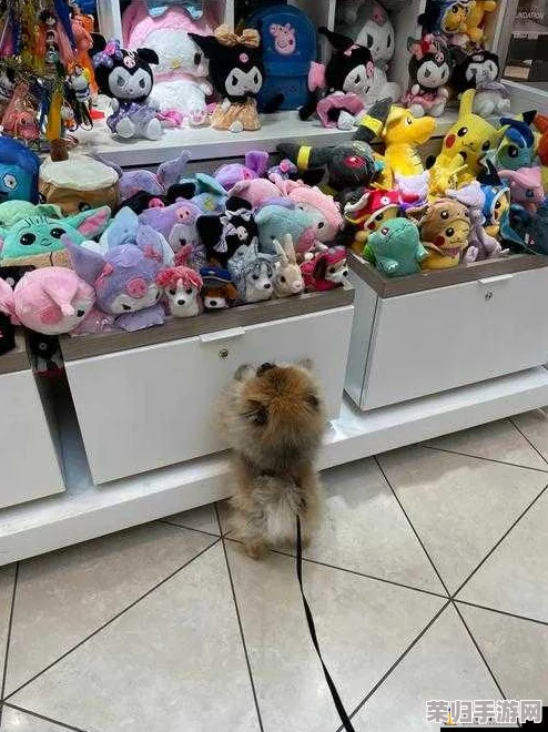 嗡嗡作响!带玩具逛街时突然按下按钮,路人纷纷侧目惊呼