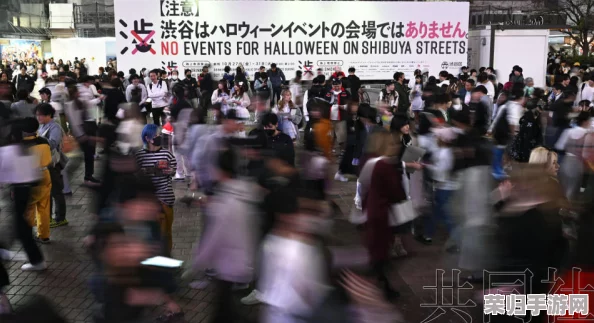 涩谷站知乎：年度热门话题、用户讨论和观点分享