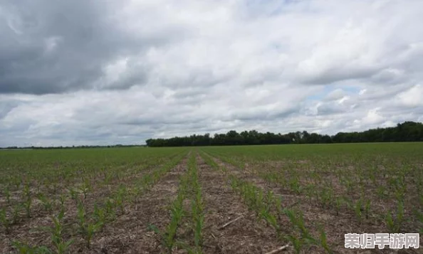 美国女儿需要爸爸的耕种,最新安装下载收获快乐与成长 美国女儿需要爸爸的耕种,最新安装下载收获快乐与成长
