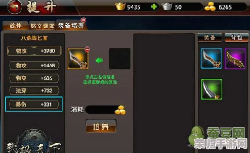 塔瑞斯世界新纪元：全方位新手装备成长策略与养成秘籍