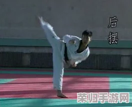 黑士腿法娴熟脚法图片在线观看，掌握技巧提升实力的必看视频合集