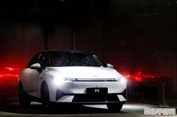 p5r考试答案：掌握高分技巧与最新攻略，助你轻松应对挑战