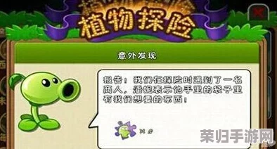 探索植物大战僵尸：全面指南教你如何精准输入高效战斗指令