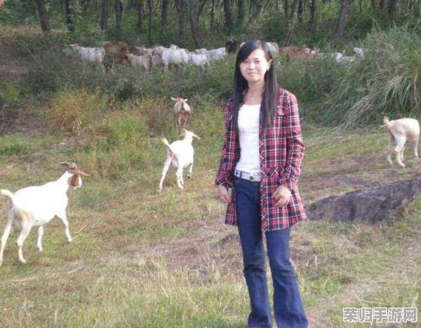 燕姐放羊老人户外：美丽风景、健康生活方式和乡村旅游体验