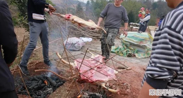 燕姐放羊老人户外：美丽风景、健康生活方式和乡村旅游体验