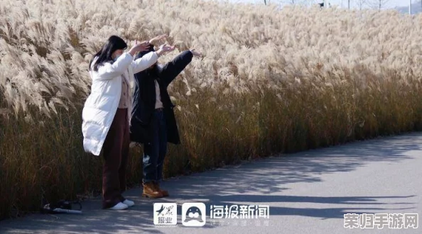 芦苇荡里的母爱：在自然的怀抱中感受无私奉献与温暖情感的真实故事