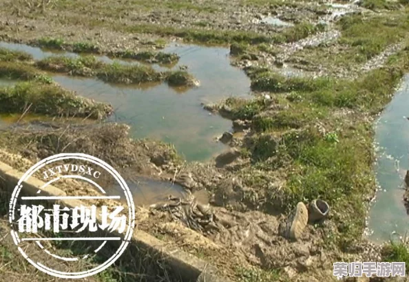 91精产国品一二三产区区别在网友热评：从田间到餐桌，品质与口感的完美体验让人惊艳不已