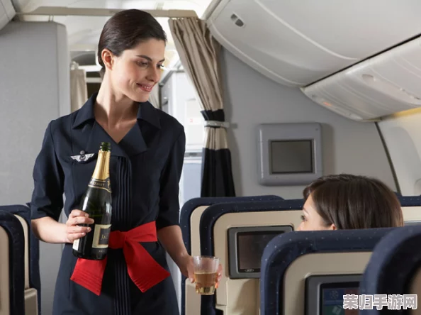 法国空姐2019满天星法版：时尚潮流与航空服务的完美结合，展现优雅与专业魅力