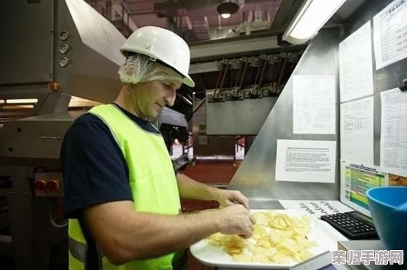 独家揭秘：沙威玛传奇版薯条匠心制作流程，从选材到出锅的每一步艺术呈现