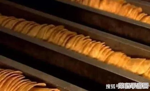 独家揭秘：沙威玛传奇版薯条匠心制作流程，从选材到出锅的每一步艺术呈现