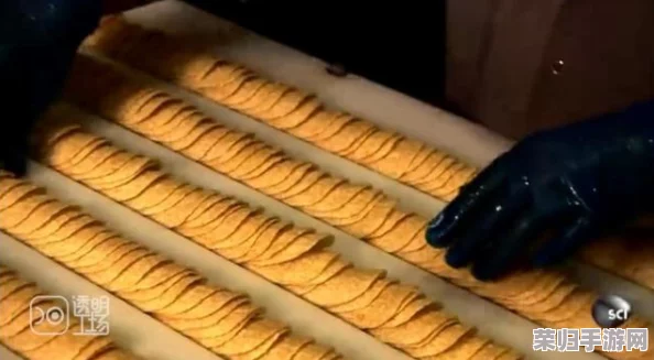 独家揭秘：沙威玛传奇版薯条匠心制作流程，从选材到出锅的每一步艺术呈现