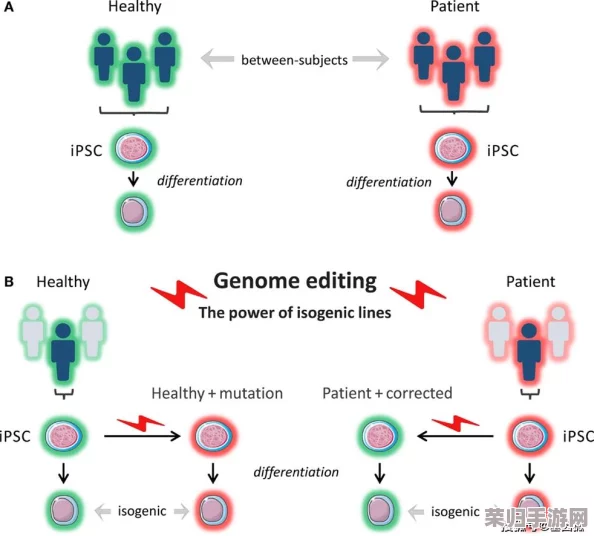 荧被丘丘人繁殖后代：基因编辑、克隆技术和遗传改良的应用