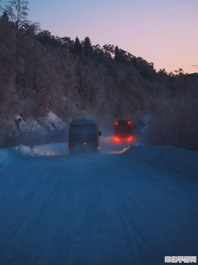 无尽冬日哪个英雄值得培养?盘点最强阵容与最佳搭配技巧,助你轻松取胜! 无尽冬日哪个英雄值得培养?盘点最强阵容与最佳搭配技巧,助你轻松取胜!
