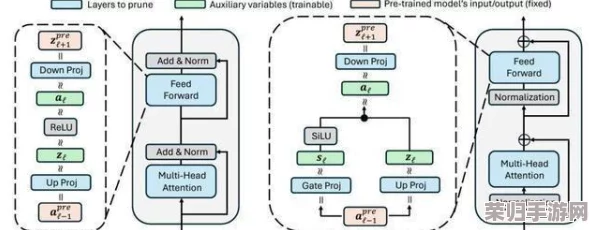 新手s怎么语言开始调m？5个热门技巧分享