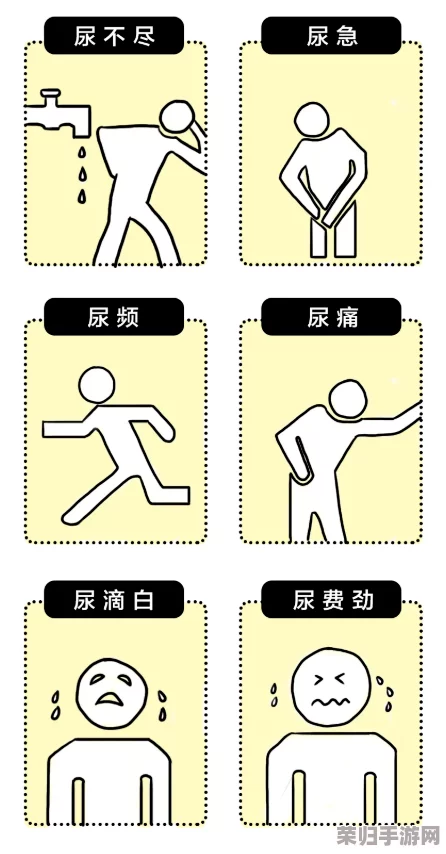 撒尿Free   性HD：热门词汇大揭秘，全方位解析最新趋势