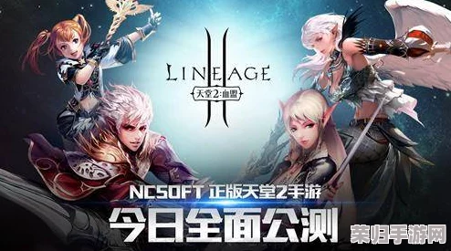 《天堂2：战斗力飞跃指南》15大实战策略与技巧，助你称霸游戏世界的全方位攻略