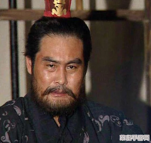 终极三国志战力巅峰：百万豪杰中精选最强武将TOP榜单全解析