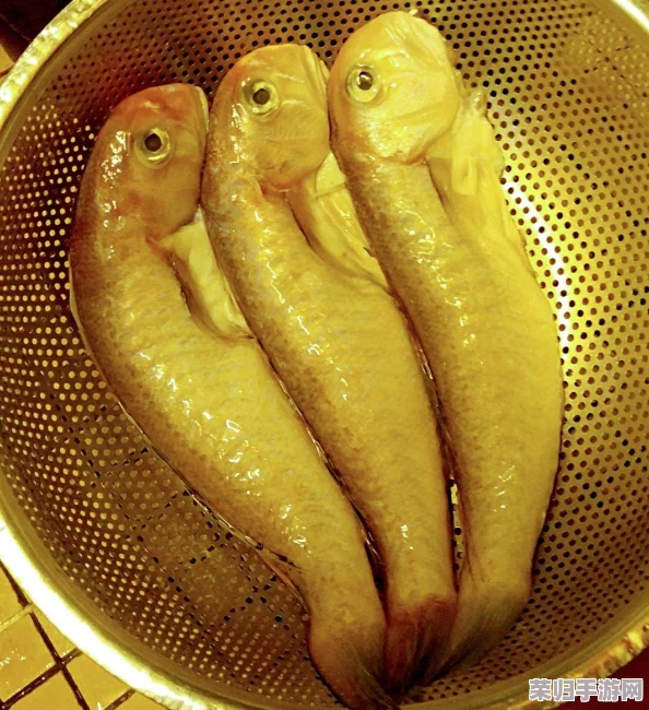 四川w搡BBB搡wBBB搡BBBBB：探索舌尖上的美味与人们的热情，感受独特的地方魅力与文化交融