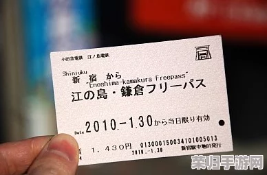 janpense visa 高请：如何轻松申请日本签证，畅游樱花之国的最佳攻略与建议
