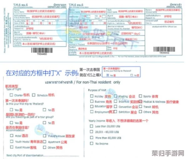janpense visa 高请：如何轻松申请日本签证，畅游樱花之国的最佳攻略与建议