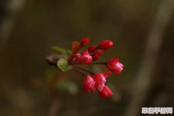 【策略进阶】打造不败传奇：小小英雄新手必学顶尖阵容搭配指南，解锁最强战力之路！