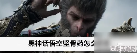 《黑神话：悟空》中强化战力的秘诀——高效解锁与制作坚骨丸全攻略