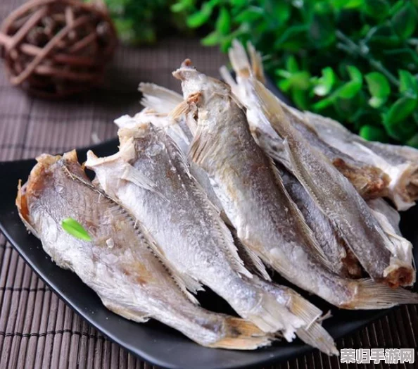 小黄鱼b站：原创视频内容丰富，精彩纷呈，深受观众喜爱