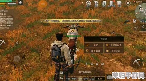 明日之后生存挑战：遭遇火箭重创后的紧急自救与恢复策略全面指南