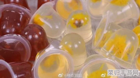 麻豆果冻精东：绝对物超所值，口感丰富多样，让人回味无穷