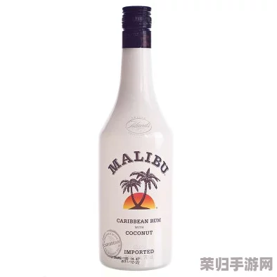 椰子酒升阶效果：畅享热带风情与独特口感的完美结合