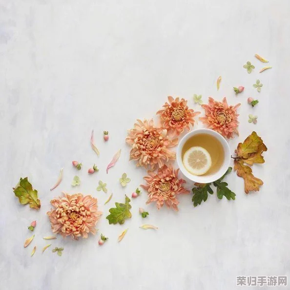 日本,xxxxxx69：探索神秘的日本文化，领略独特魅力