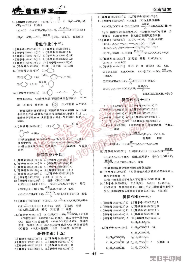 张婉莹暑假作业大全：数学、英语、物理、化学热门词汇一览