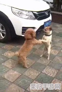 两人生猴子全程不带被子！网友直呼“太可爱”、“萌化了”