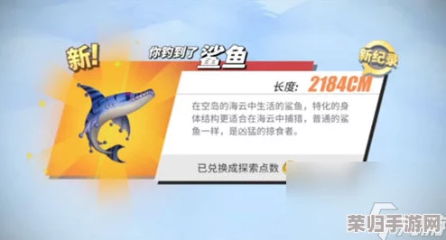 《航海王：热血航线》独家策略——高效钓鱼技巧与稀有鱼类捕获秘籍大公开！