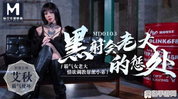艾秋老大的处罚MD0065ft：引发热议，网友纷纷表达不同看法与态度