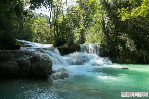 创意打造林间秘境：水潭与河流布局指南，营造自然流动的小世界美学策略
