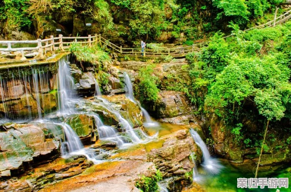 创意打造林间秘境：水潭与河流布局指南，营造自然流动的小世界美学策略