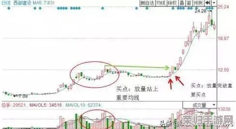 罗德里策略新解：前期避开跑商，高效发展秘籍大公开——零商贸起步速成攻略