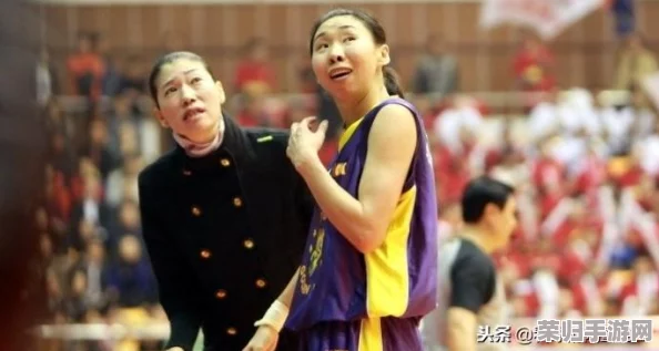 评价：感人至深！东北母子：一个坚强的母亲和她顽皮可爱的儿子共同生活的故事
