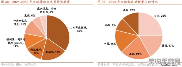 Steam平台上的绿色防御战：探索《植物大战僵尸》的正版命名与精彩玩法