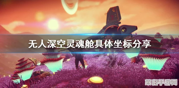 独家攻略：无人深空中如何解锁并获取神秘生物飞船的终极步骤指南