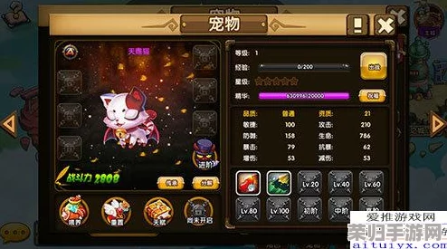 平民开荒必备！归龙潮高效阵容搭配策略，助你轻松启程冒险之旅